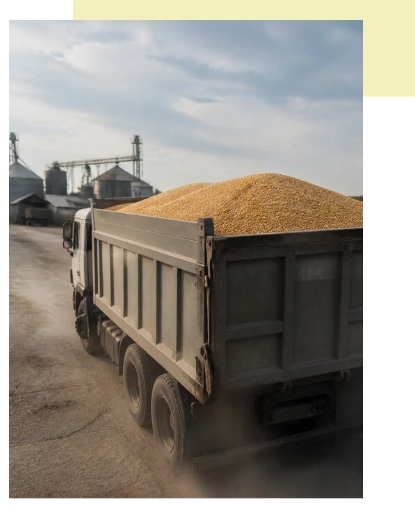 Перевозка сельхозпродукции навалом в Выксу по цене от 3111 р. | Агросервис-Вкс